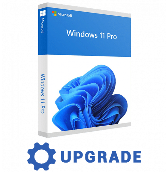 Upgrade to Windows 11 Professional